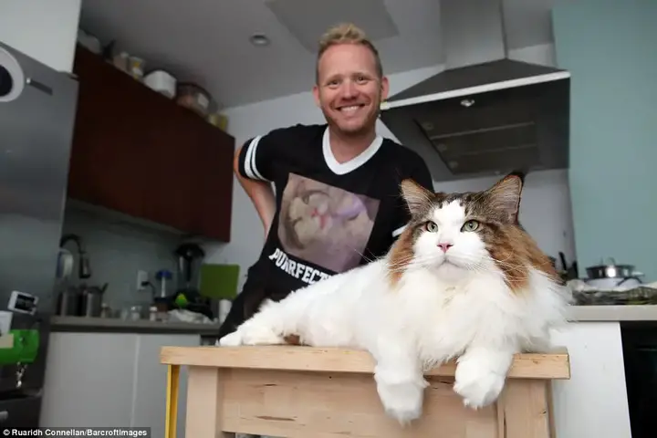 The 42-year-old DJ from New York said Samson will eat six tins of cat food a day and costs $120 to groom every month 