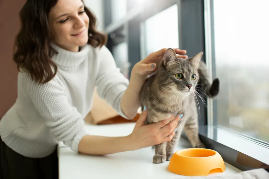 Monitoring Your Cat's Health and Adjusting Their Diet