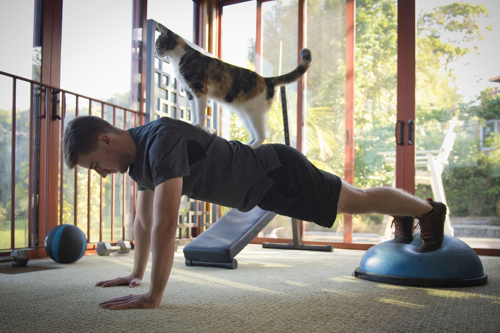 Great Ways To Exercise With Your Cat